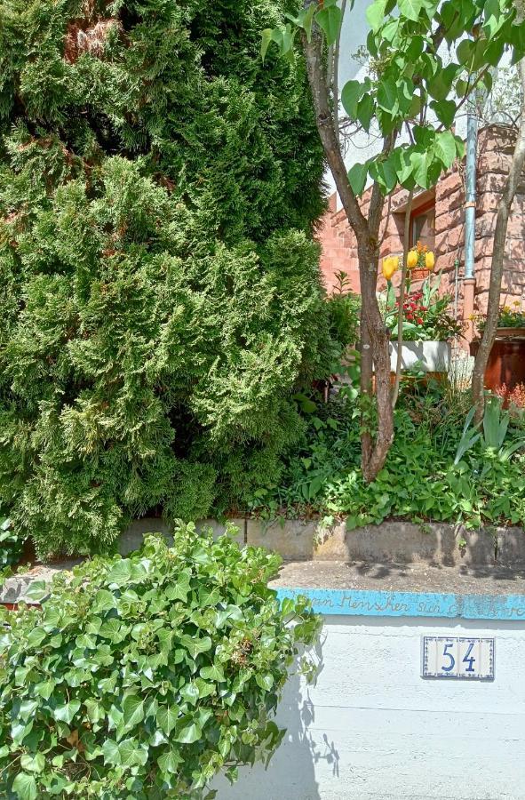Casa La Collina Delle Ginestre Lägenhet Eberbach  Exteriör bild
