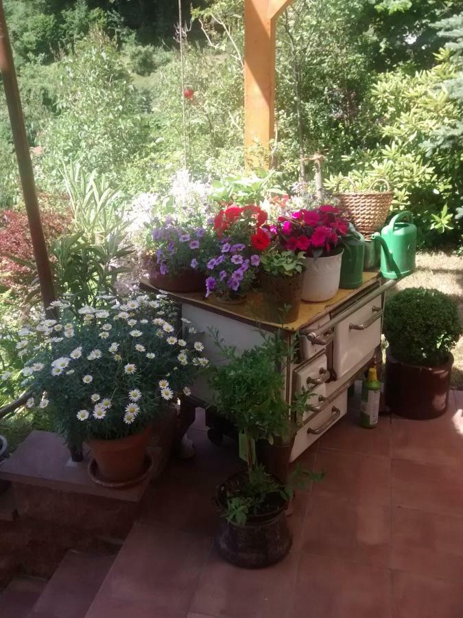 Casa La Collina Delle Ginestre Lägenhet Eberbach  Exteriör bild