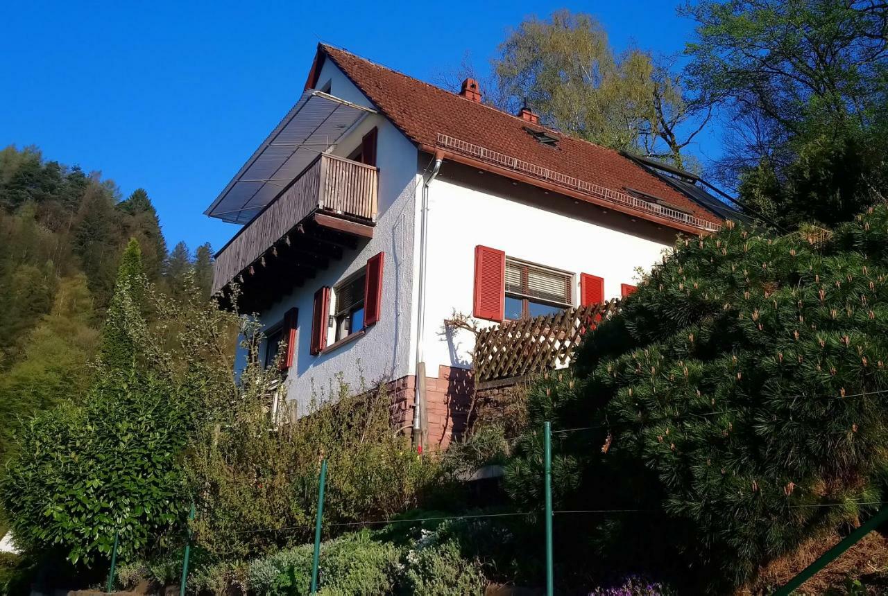 Casa La Collina Delle Ginestre Lägenhet Eberbach  Exteriör bild