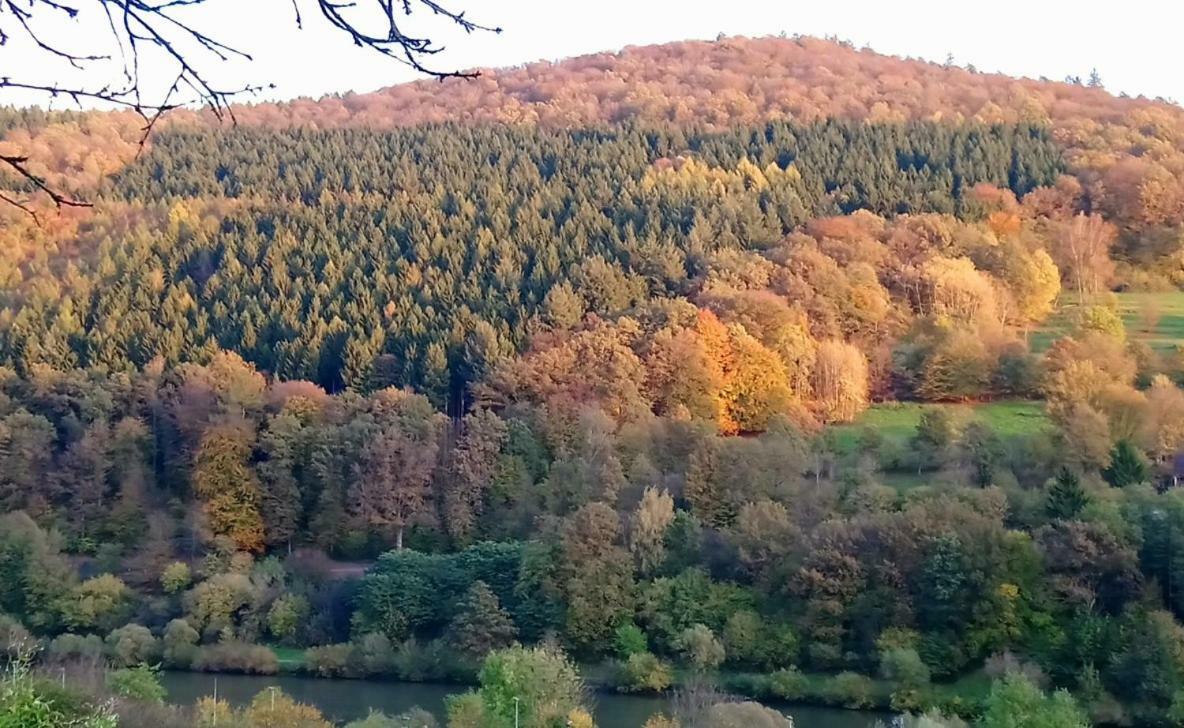 Casa La Collina Delle Ginestre Lägenhet Eberbach  Exteriör bild